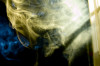 Smoke (Paul Bence/flickr.com)