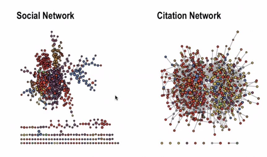 Social network and citation network in the COVID-19 Peer Hub